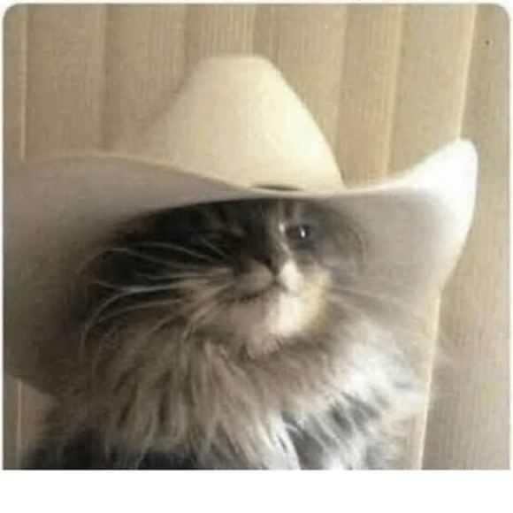 Meet your Posher, BEK - Picture 1 of 1